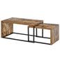 Set of 2 Coffee Tables / Side Tables